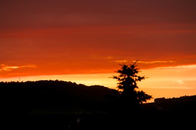 Shadows on sunset_4710238842_l.jpg